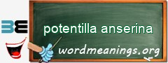 WordMeaning blackboard for potentilla anserina